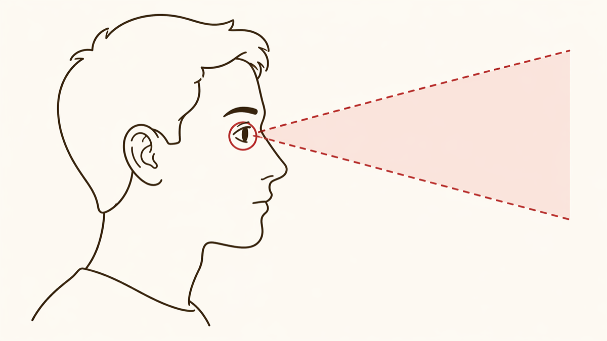 人物の横顔。見えている目が赤い枠で強調され、その目から前方に赤い破線の視野円錐が広がる。
