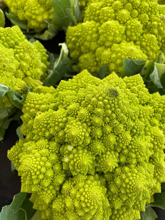 ロマネスコ・ブロッコリー