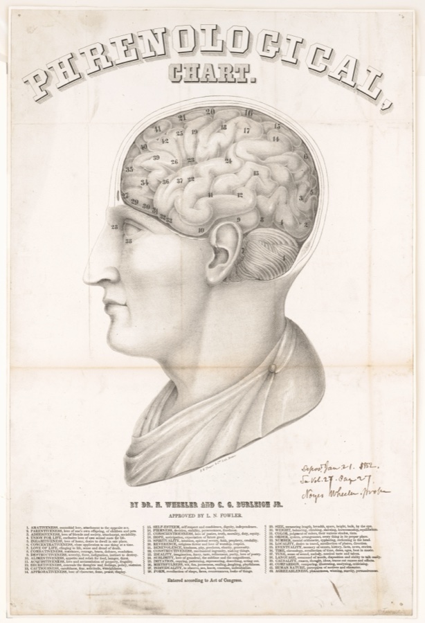 1862年の骨相学(phrenology)図 — Library of Congress蔵