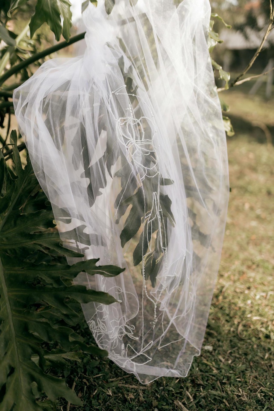 風にひるがえる薄い布——ヴェールのイメージ